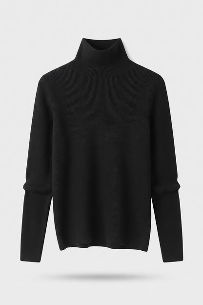 Women's Fitted Turtleneck Sweater | Ribbed — Black — packshot