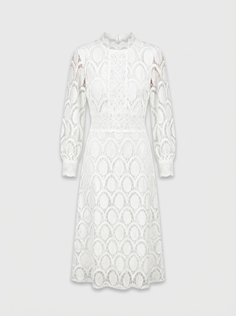Lace Dress for Women with Stand Collar and Long Sleeves