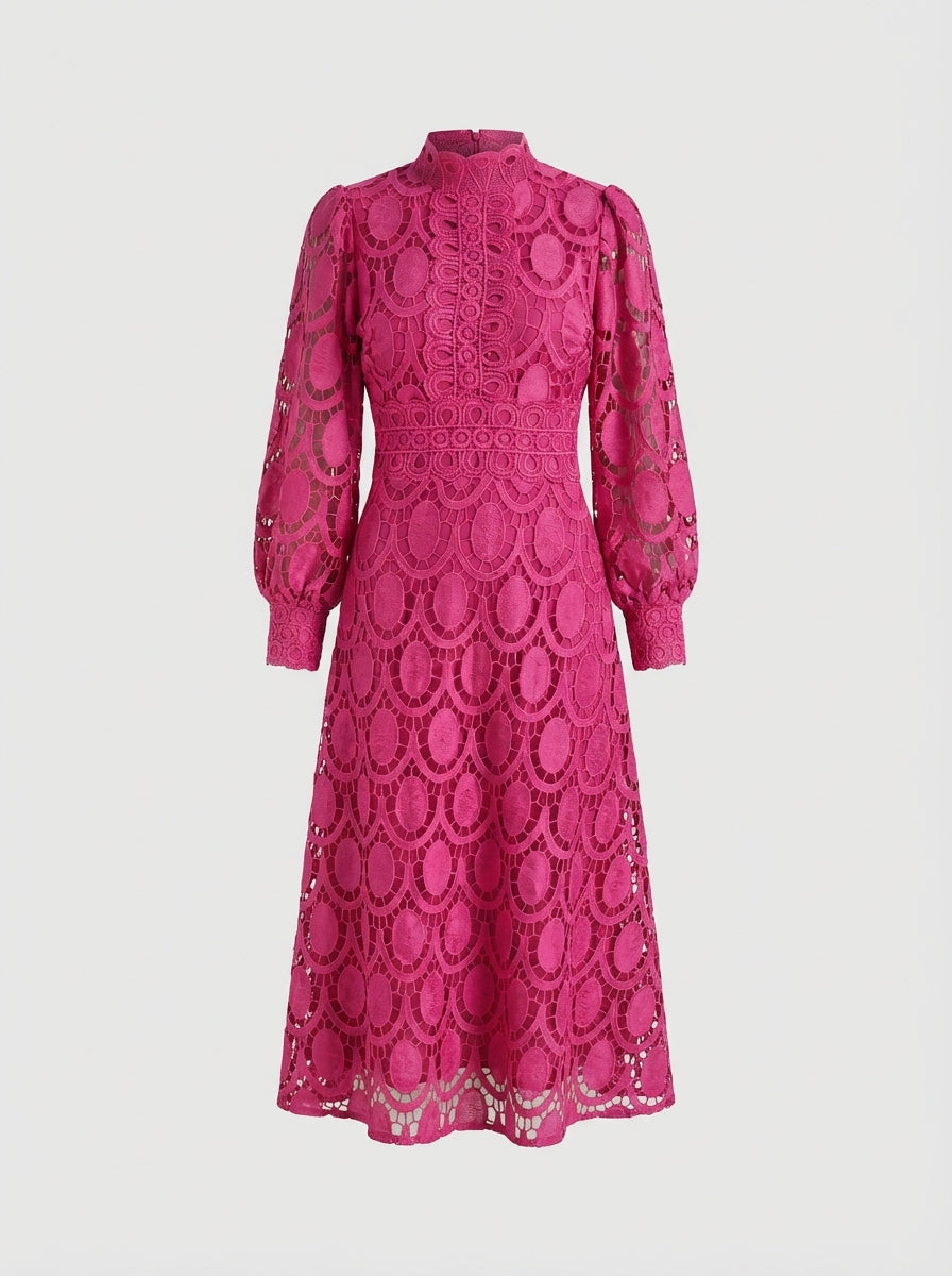 Lace Dress for Women with Stand Collar and Long Sleeves
