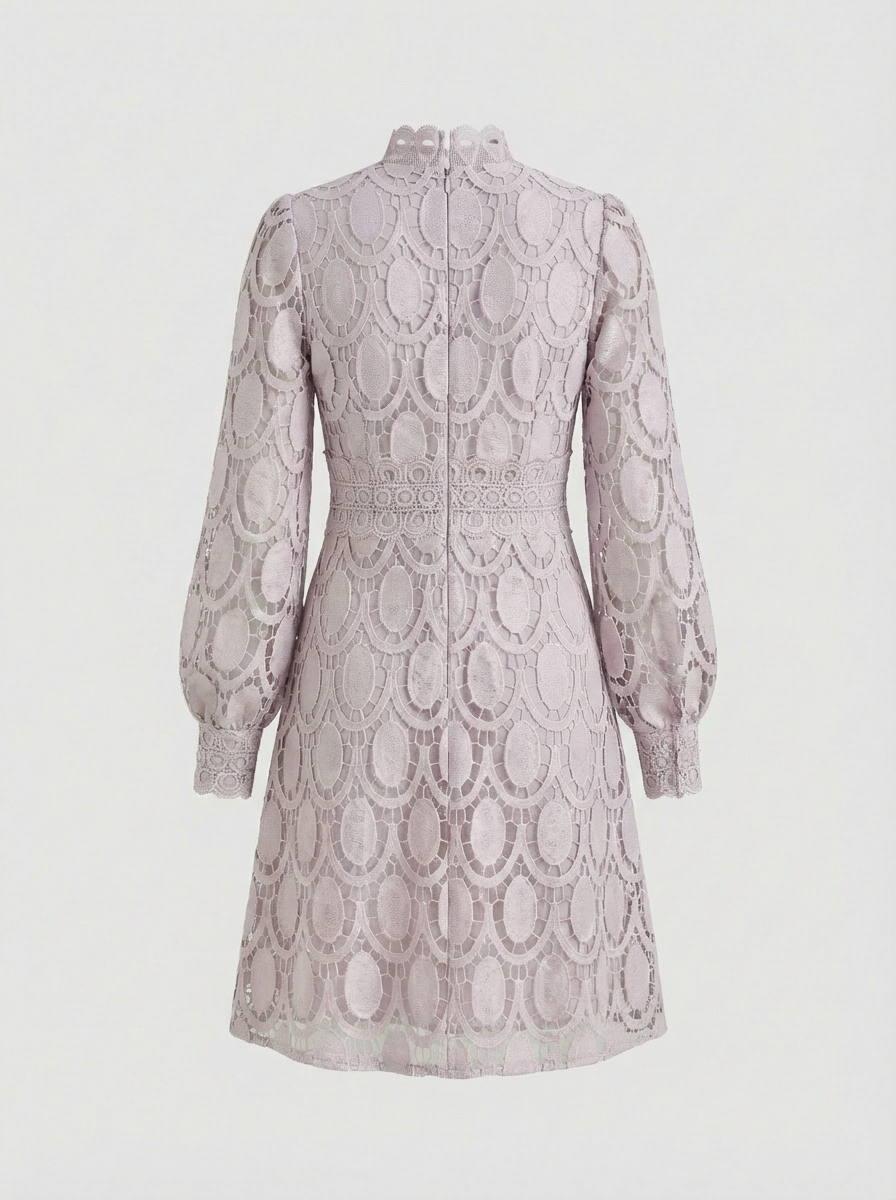 Lace Dress for Women with Stand Collar and Long Sleeves