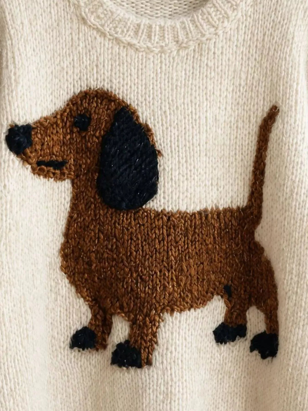 Close-up of the brown dachshund on the cream chunky knit sweater
